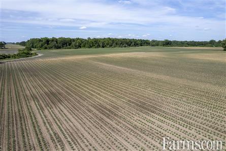 94.5 Acres/Elgin County for Sale, Malahide, Ontario