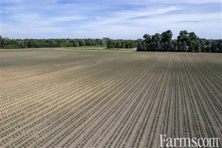 94.5 Acres/Elgin County for Sale, Malahide, Ontario