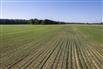 202 Acres/Elgin County for Sale, Port Burwell, Ontario