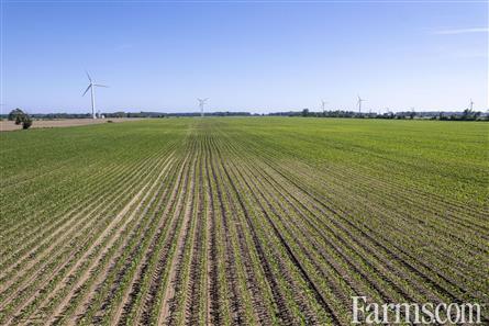 202 Acres/Elgin County for Sale, Port Burwell, Ontario