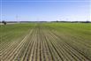 202 Acres/Elgin County for Sale, Port Burwell, Ontario