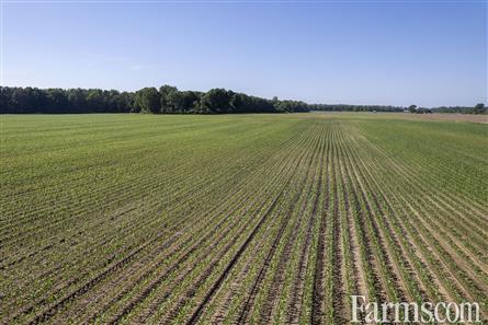 202 Acres/Elgin County for Sale, Port Burwell, Ontario