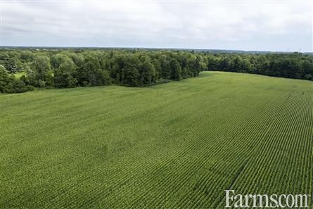 50 Acres/Elgin County for Sale, Bayham, Ontario