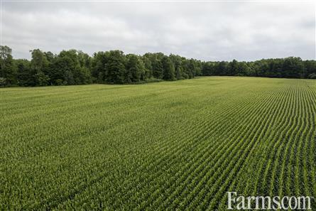 50 Acres/Elgin County for Sale, Bayham, Ontario