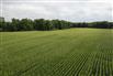 50 Acres/Elgin County for Sale, Bayham, Ontario