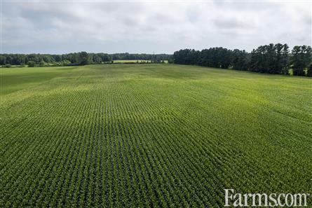 50 Acres/Elgin County for Sale, Bayham, Ontario