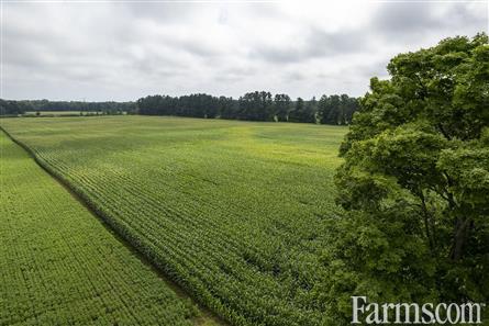 50 Acres/Elgin County for Sale, Bayham, Ontario