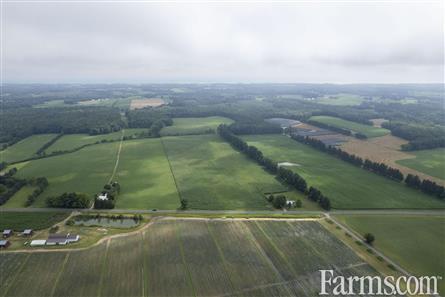 50 Acres/Elgin County for Sale, Bayham, Ontario