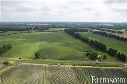 50 Acres/Elgin County for Sale, Bayham, Ontario