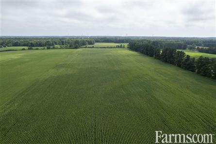 50 Acres/Elgin County for Sale, Bayham, Ontario