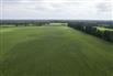 50 Acres/Elgin County for Sale, Bayham, Ontario