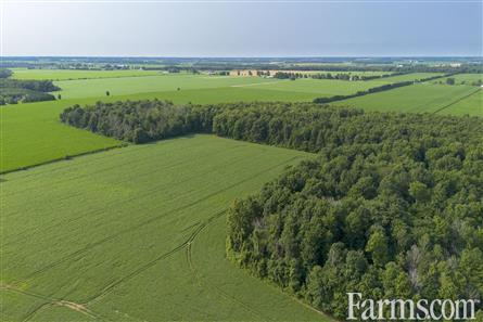 96 Acres/Huron County for Sale, Walton, Ontario