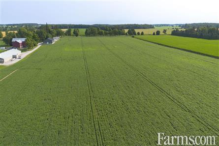 96 Acres/Huron County for Sale, Walton, Ontario