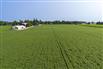 96 Acres/Huron County for Sale, Walton, Ontario