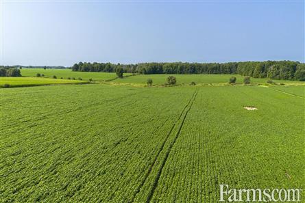 96 Acres/Huron County for Sale, Walton, Ontario