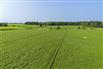 96 Acres/Huron County for Sale, Walton, Ontario