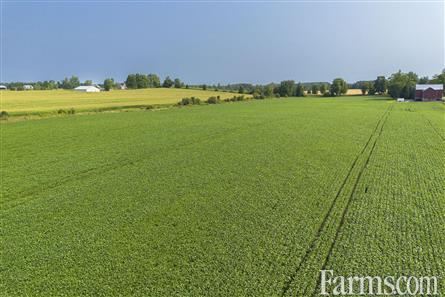 96 Acres/Huron County for Sale, Walton, Ontario