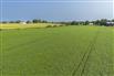 96 Acres/Huron County for Sale, Walton, Ontario