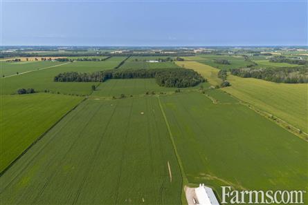 96 Acres/Huron County for Sale, Walton, Ontario