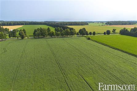 96 Acres/Huron County for Sale, Walton, Ontario