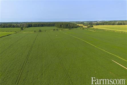 96 Acres/Huron County for Sale, Walton, Ontario