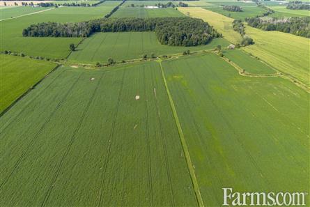 96 Acres/Huron County for Sale, Walton, Ontario