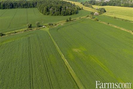 96 Acres/Huron County for Sale, Walton, Ontario