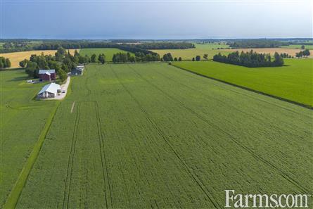 96 Acres/Huron County for Sale, Walton, Ontario