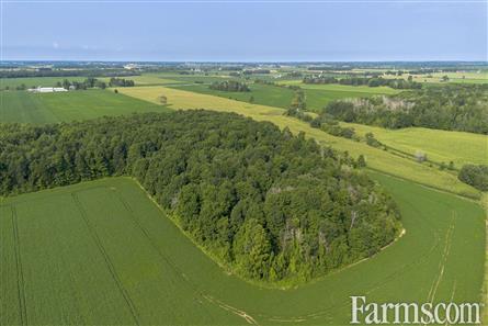 96 Acres/Huron County for Sale, Walton, Ontario