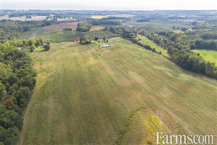 65 Acres/Elgin County for Sale, Bayham, Ontario