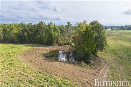 65 Acres/Elgin County for Sale, Bayham, Ontario