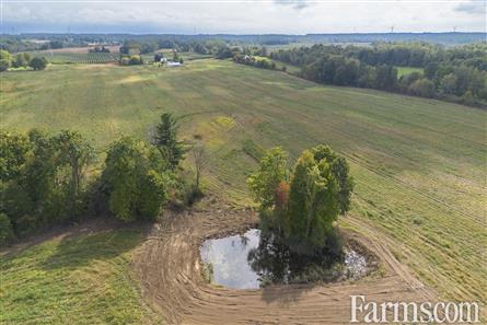 65 Acres/Elgin County for Sale, Bayham, Ontario