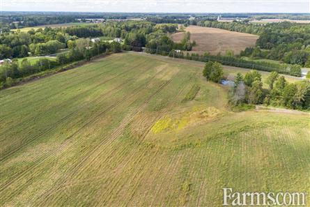 65 Acres/Elgin County for Sale, Bayham, Ontario