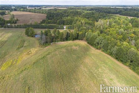 65 Acres/Elgin County for Sale, Bayham, Ontario