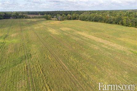 65 Acres/Elgin County for Sale, Bayham, Ontario