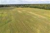 65 Acres/Elgin County for Sale, Bayham, Ontario