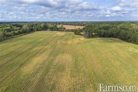 65 Acres/Elgin County for Sale, Bayham, Ontario