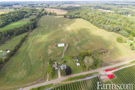 65 Acres/Elgin County for Sale, Bayham, Ontario