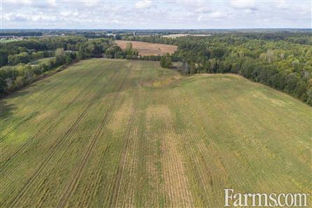 65 Acres/Elgin County for Sale, Bayham, Ontario