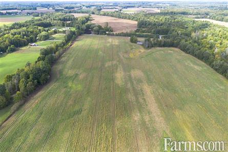 65 Acres/Elgin County for Sale, Bayham, Ontario