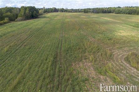 65 Acres/Elgin County for Sale, Bayham, Ontario