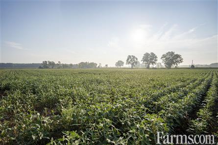 106 Acres/Middlesex County for Sale, Ilderton, Ontario