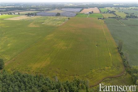 53 Acres/Oxford County for Sale, Tillsonburg, Ontario