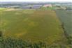 53 Acres/Oxford County for Sale, Tillsonburg, Ontario