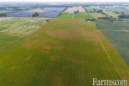 53 Acres/Oxford County for Sale, Tillsonburg, Ontario