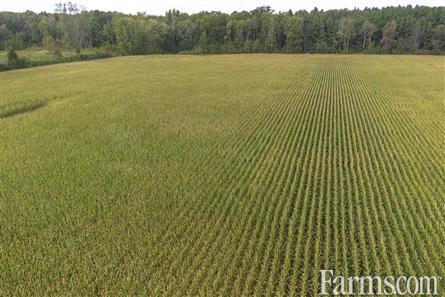 53 Acres/Oxford County for Sale, Tillsonburg, Ontario