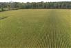 53 Acres/Oxford County for Sale, Tillsonburg, Ontario