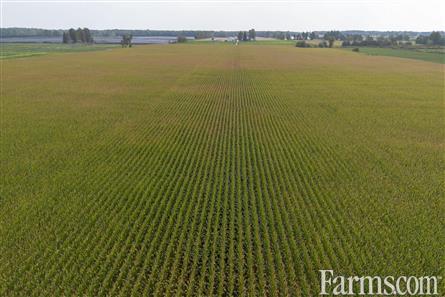 53 Acres/Oxford County for Sale, Tillsonburg, Ontario