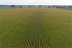 53 Acres/Oxford County for Sale, Tillsonburg, Ontario