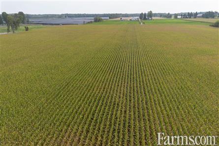 53 Acres/Oxford County for Sale, Tillsonburg, Ontario